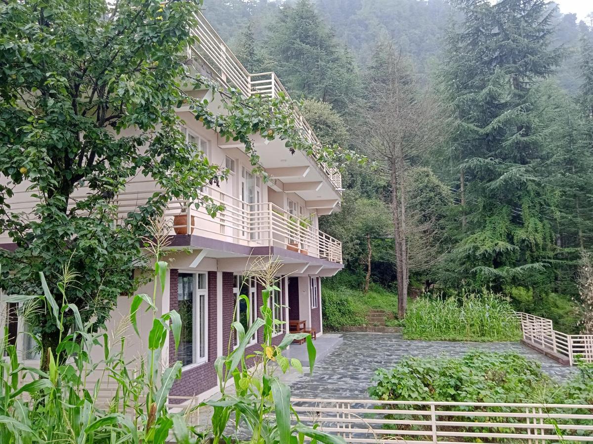Junglaat Stays & Experiences Dharamshala Eksteriør bilde